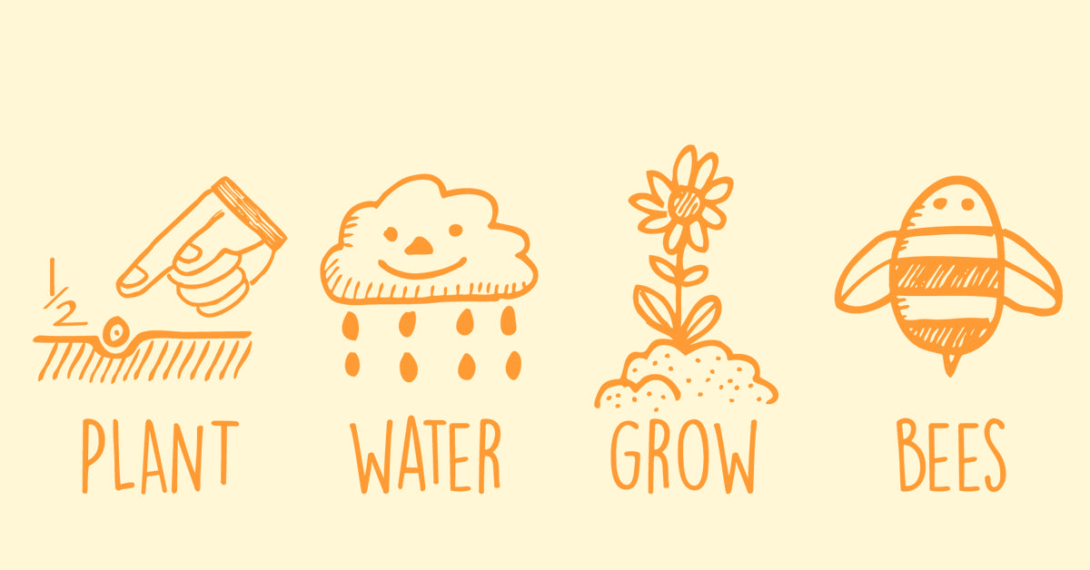 How to Plant Wildflower Seed Bombs