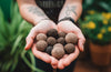The Benefits of Using Seedballs for Gardening