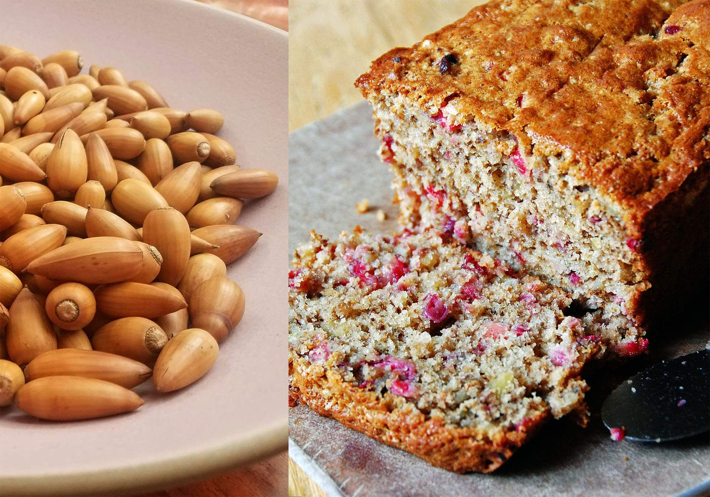 Cranberry Acorn Banana Bread