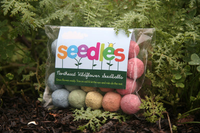 Seedles - Wildflower Seedles