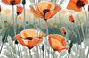 Nature's Sun-Kissed Gem: Dive Deep into the World of California Poppy Wildflowers