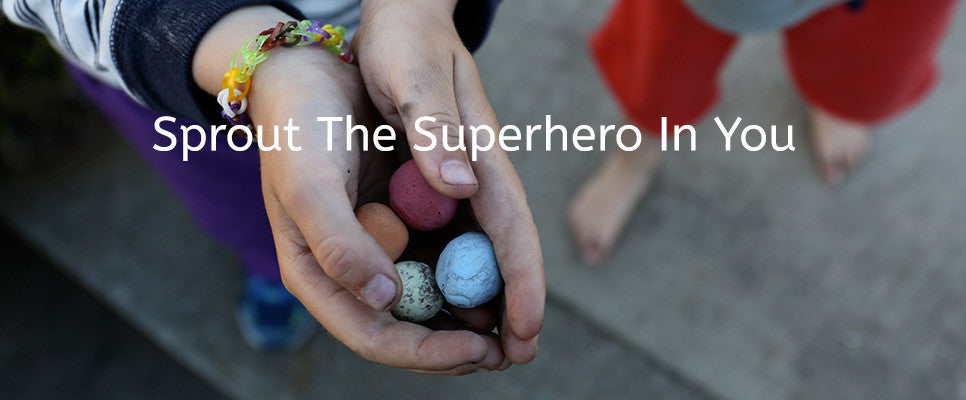 How To Make Seed Balls / Seed Bombs