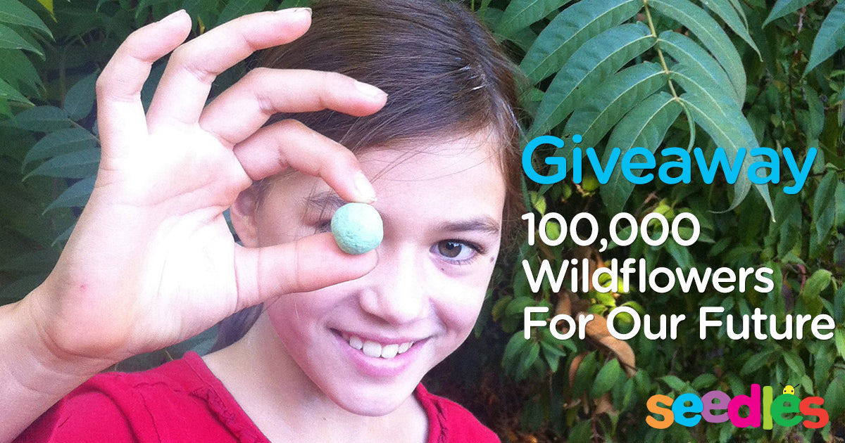 Bombs Away - 100,000 Wildflowers For Our Future (Giveaway)