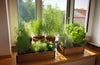 Growing a Kitchen Herb Garden: Tips and Tricks for Success