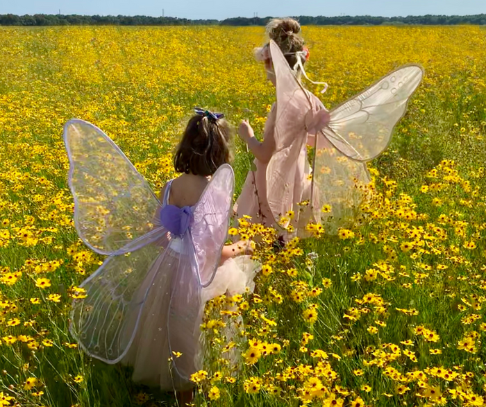 Pros and Cons of a Wildflower Meadow: Exploring the Beauty and Considerations