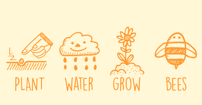 How to Plant Wildflower Seed Bombs