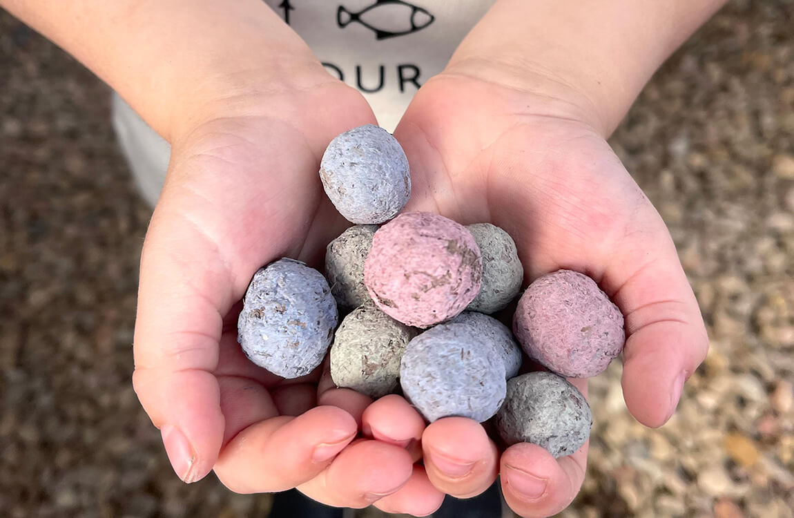 How to Make Wildflower Seed Balls Seedles