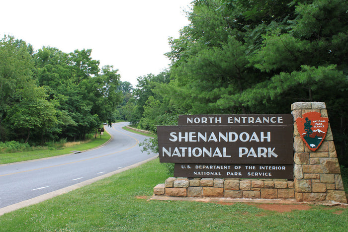 Wildflowers of Shenandoah National Park