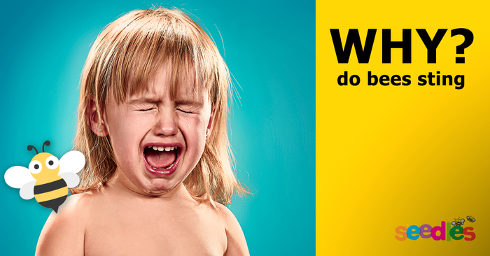 Why Do Honey Bees Sting?