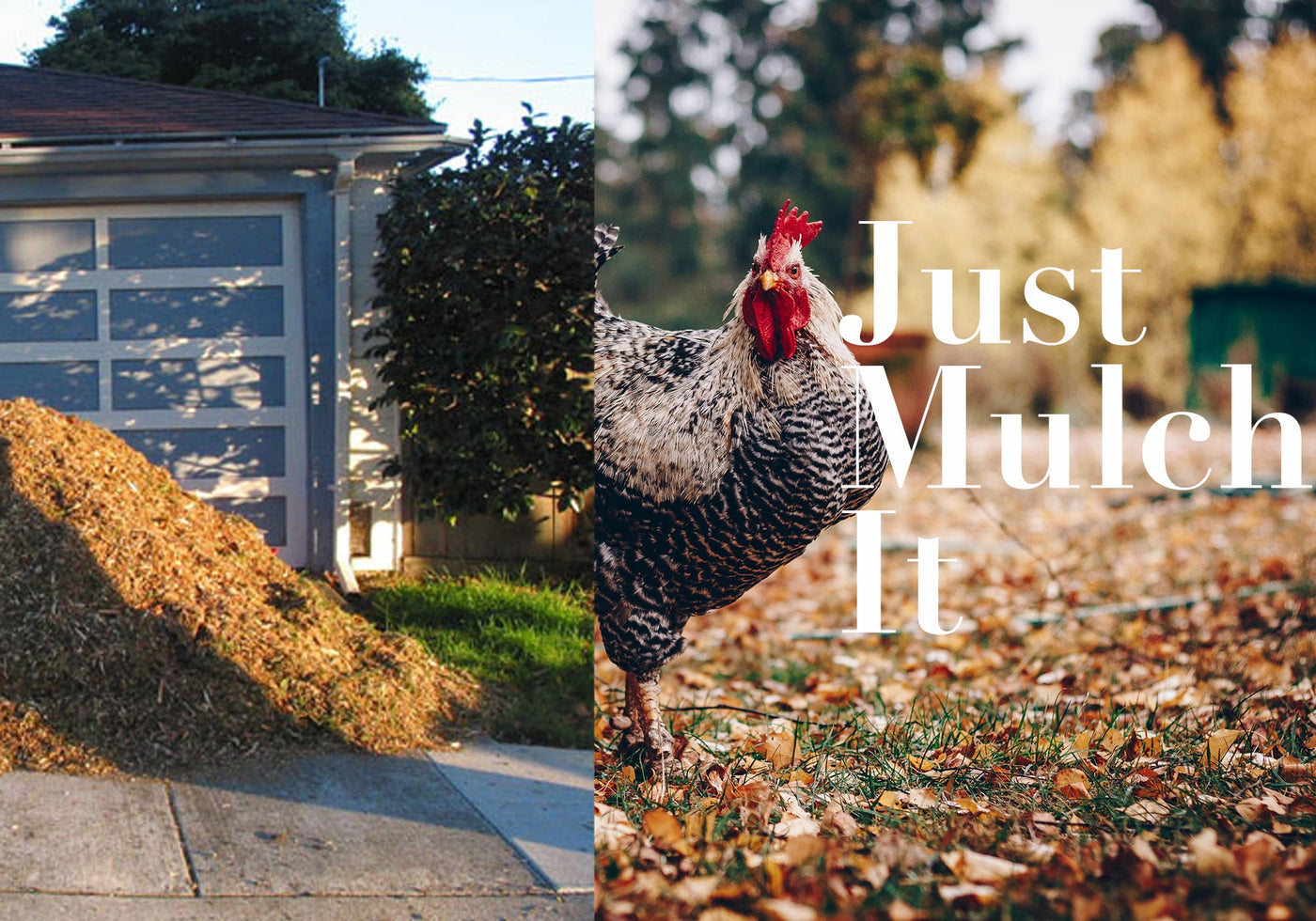 How Mulch Can Help You Save Water And Money