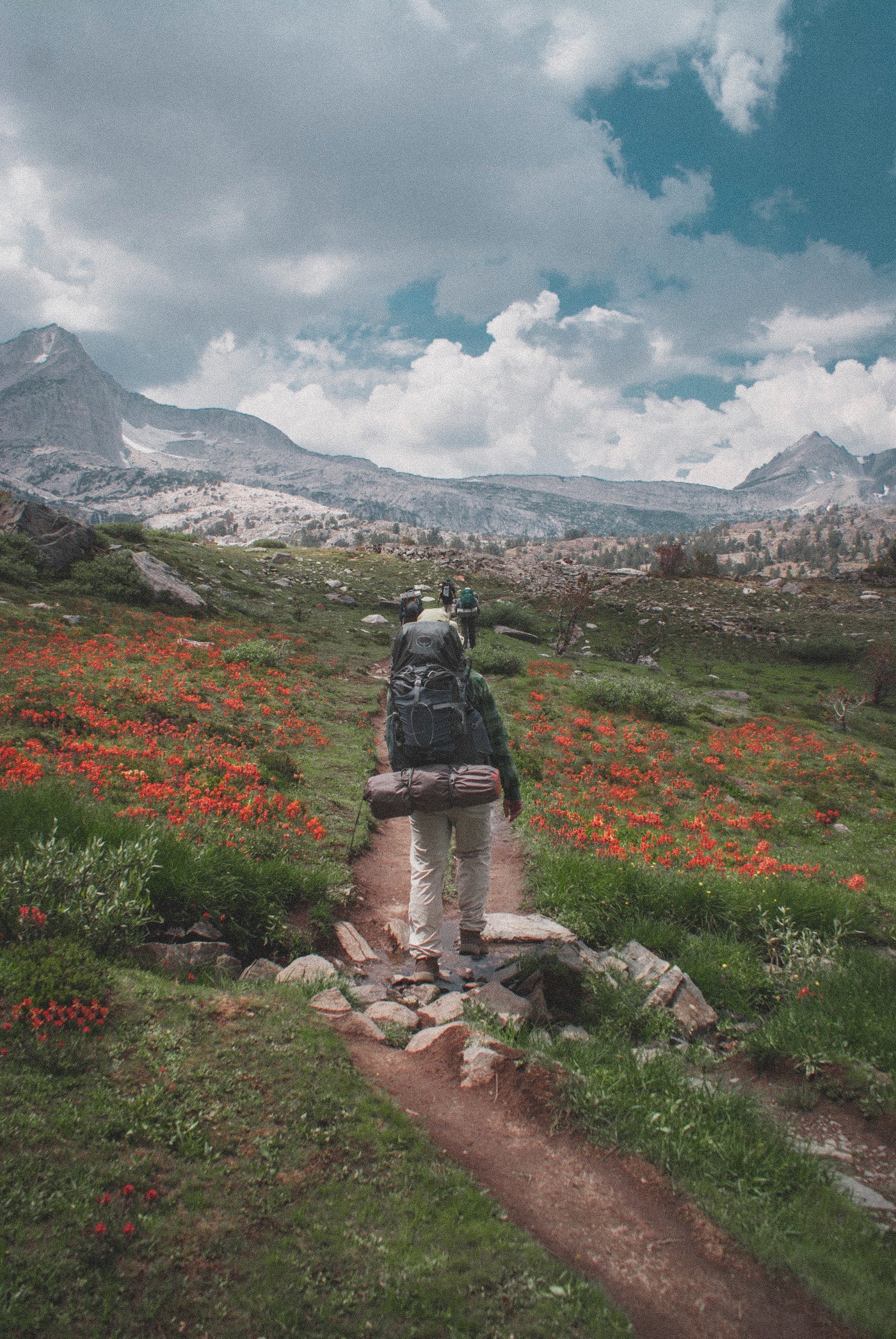 Households Reminded Not To Pick Wildflowers In Line With Law