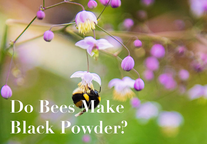 Are fireworks made with the help of bees?