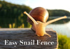 Hold The Line! No Chemical, Non Toxic Snail Fence To Protect Your Garden