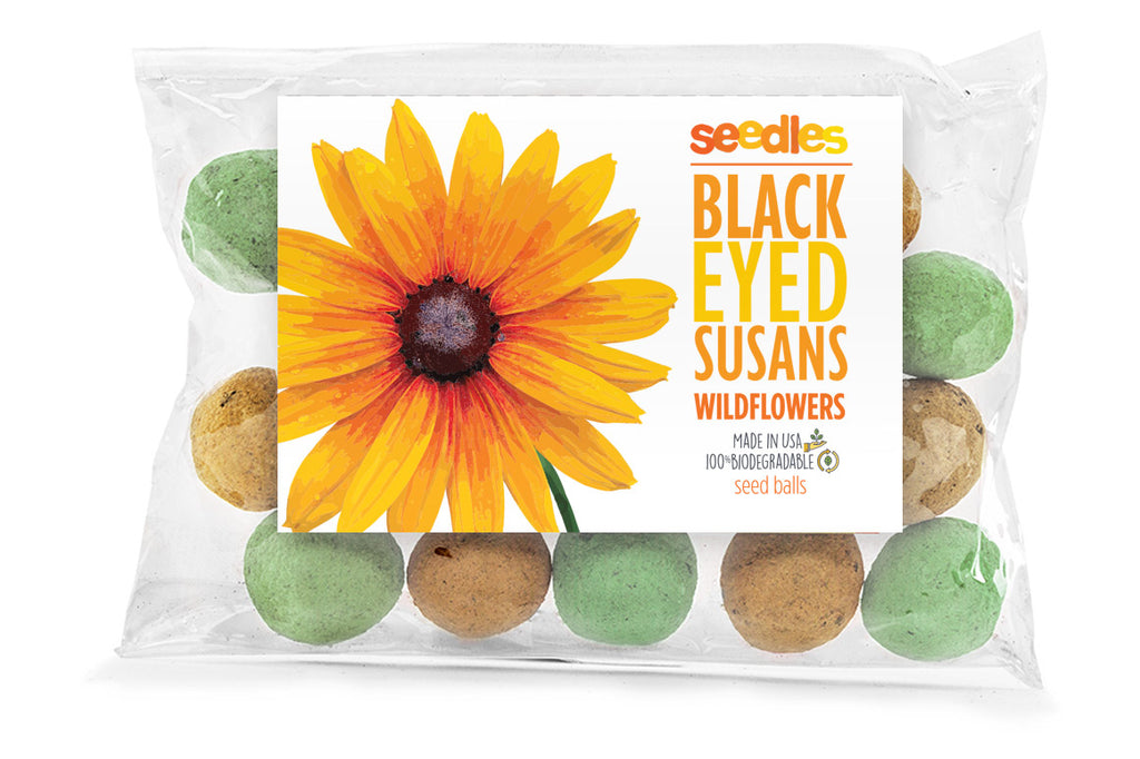Black-Eyed Susan Seedles