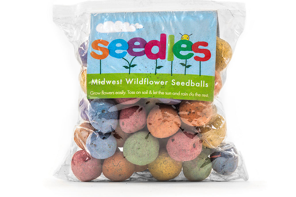 Wildflower Seedles