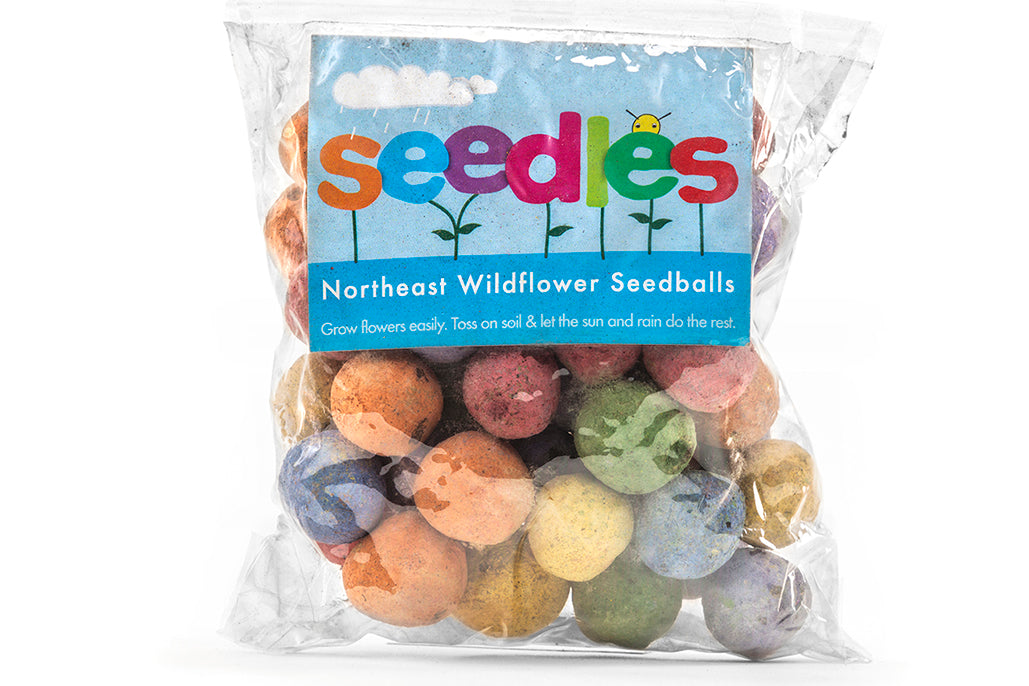 Wildflower Seedles
