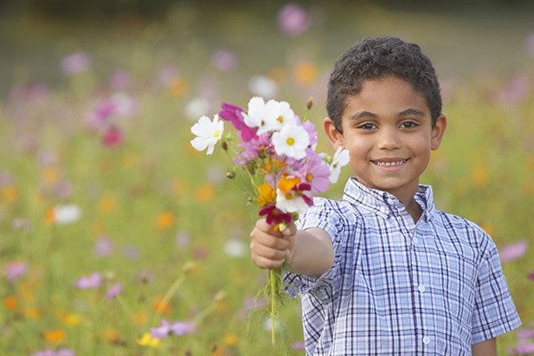 Seedles - Wildflower Seedles Flowers Picked