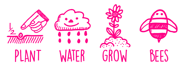 Seedles Basic Planting Instructions