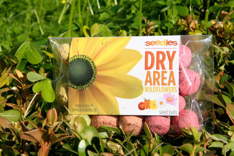 Seedles - Dry Area Seedles